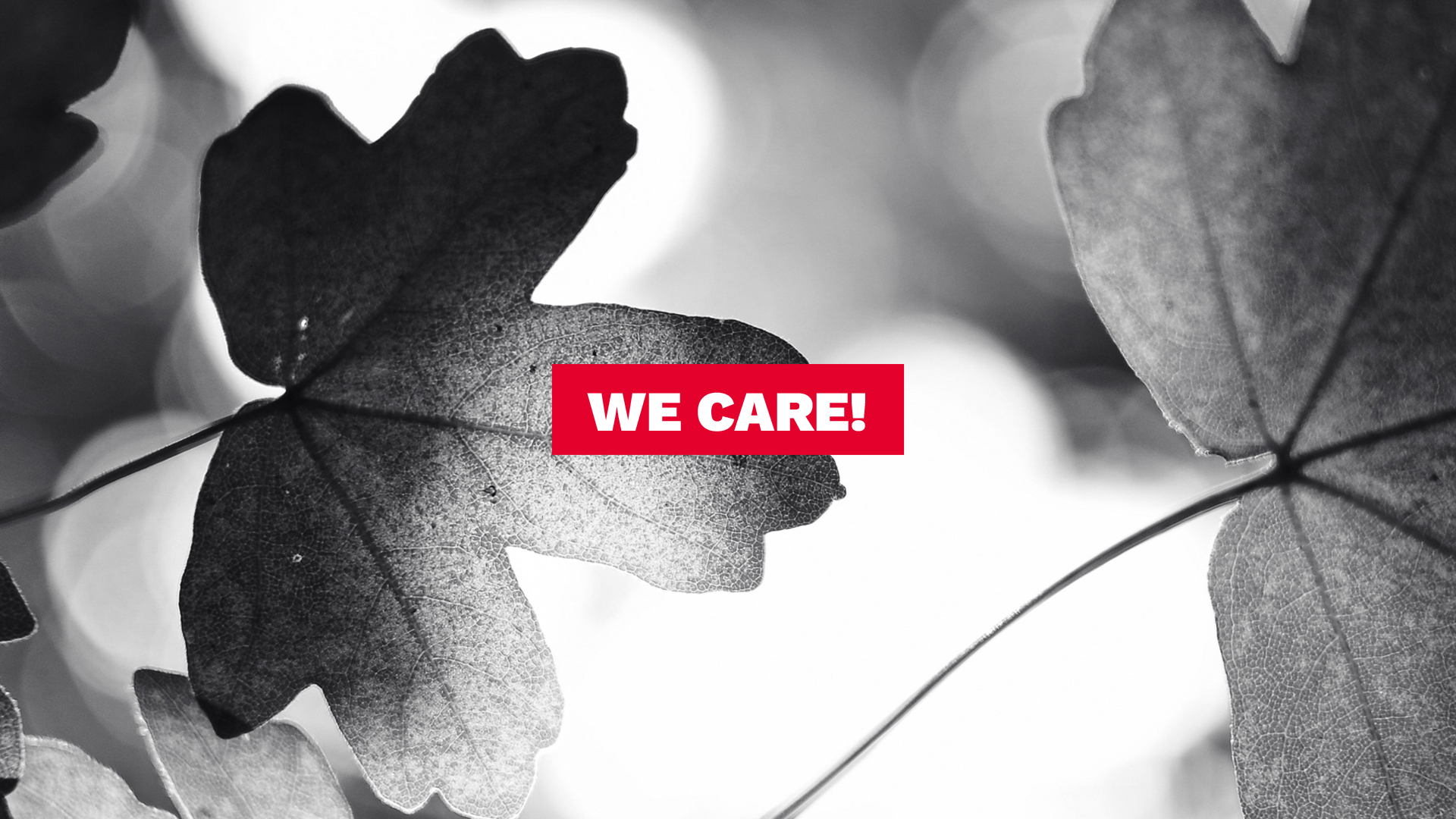We Care – Soziale Verantwortung beginnt oben!