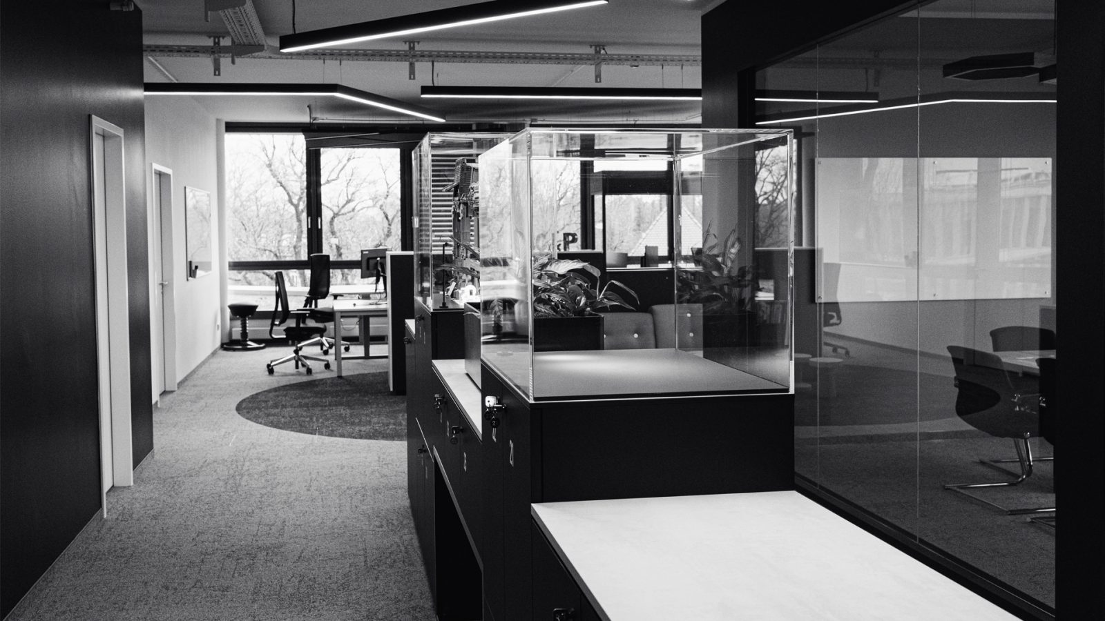 Moderne Büroeinrichtung mit Glastrennwänden, Arbeitsplätzen und minimalistischem Design.