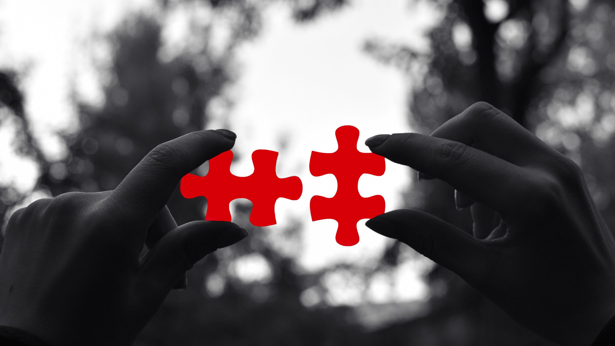 Effizienz beginnt im Code – Monoglot mit C# von Frontend bis Backend