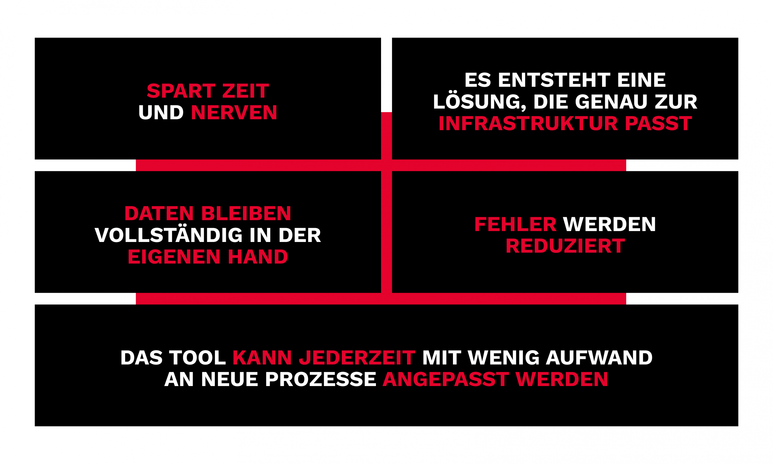 Sechs schwarze Rechtecke mit deutschem Text in Weiß und Rot beschreiben die Vorteile des Software-Tools, darunter Zeitersparnis, Fehlerreduzierung, Datenkontrolle und einfache Anpassung an die Bedürfnisse jedes Nutzers.